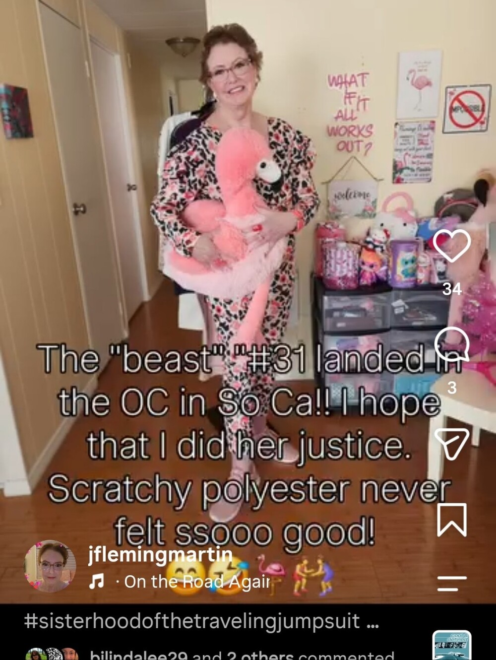 Flamingoflem LIVE NOTIFICATION! LIKE THIS FOR AWARENESS, TRAINS, RANDOM SHOWS🦩 - Picture 10 of 15